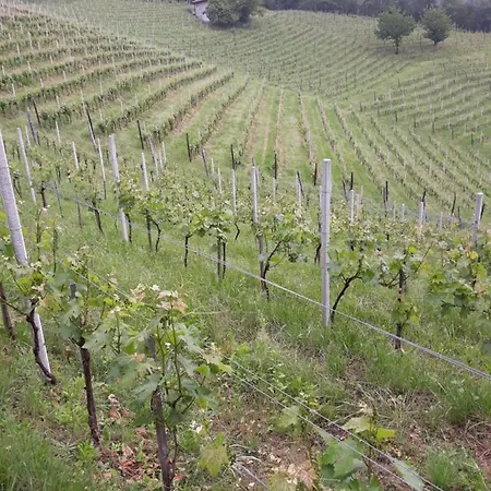 住宿加早餐酒店 Winebikehostel 3*