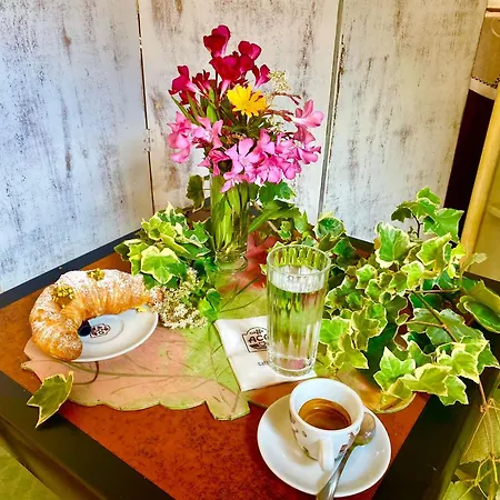 住宿加早餐酒店 Winebikehostel Rocca Grimalda